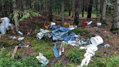 Bild: Michael Strobel/exb
Plastikplanen, Farbeimer und anderer Müll, großflächig einfach in die Landschaft gekippt: So ein Anblick bietet sich leider immer wieder. Das Bild entstand am Rand eines Parkplatzes bei Mitterteich.