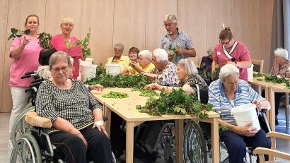 Bild: no
Mit Begeisterung zupften die Senioren des Altenheims St. Barbara in Sulzbach-Rosenberg unter der Anleitung von Lorenz Geitner (stehend, Bildmitte) den Illschwanger Hopfen.