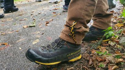 Bild: Christopher Trepesch
Der Feuersalamander am Fuß von Horst Schwemmer (Bund Naturschutz).
