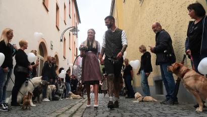 Bild: Kunz
Ein Spalier aus 60 Hunden – und in der Mitte das Brautpaar Stephanie Berthold und Johannes Stilp.