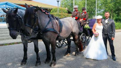 Bild: bsc
In einer Hochzeitskutsche, gezogen von ihren Pferden Max und Flori, kamen Judith und Thomas Engelhardt zur standesamtlichen Trauung in die Steinwaldhalle. Ihre Freunde Karin und Björn Kastl steuerten das Hochzeitsgespann und brachten die Frischvermählten anschließend zur weltlichen Feier in die Gaststätte Zainhammer.