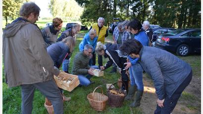Bild: gi
Stefan Hartwig (knieend, Mitte), Pilz-Sachverständiger der Deutschen Gesellschaft für Mykologie, erklärt den Teilnehmern einer Pilzexkursion in Moosbach die verschiedenen Pilzarten.