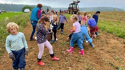 Bild: gru
Die Grundschulkinder hatten auf dem Feld beim Erdäpfel suchen und ernten viel Spaß.