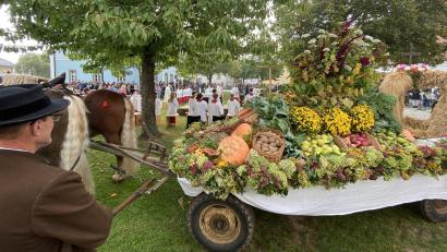 Bild: Raphael Haubelt/exb
Ein prächtiger Erntewagen mit Beispielen all dessen, was in diesem Jahr im Garten, auf den Feldern und im Wald an Früchten, Gemüse und Blumen gewachsen war, samt einer Getreide-Krone, bildete den Blickfang am Altar des Dankgottesdienstes im Schlosshof.