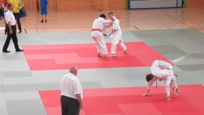 Bild: Susanne Schubert/exb
Rund 200 Judoka gingen in Wörth an der Donau auf die Matten.