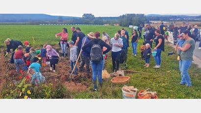 Bild: ld
Ein Foto wie es früher üblich war: Kartoffelernte im Herbst.