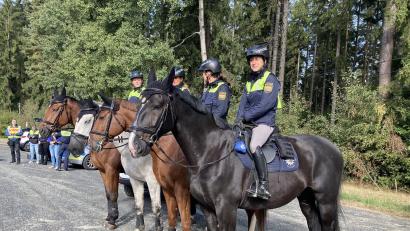 Bild: Stefanie Swann
Vier Pferde und ihre Reiterinnen bilden die Unterstützung bei Polizeikontrollen gegen illegale Einwanderung an der tschechischen Grenze.