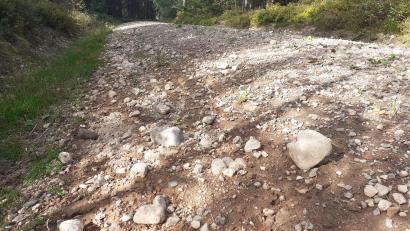 Bild: Riedlbauer/exb
Zum Radfahren ungeeignet - eine Schotterpiste im Wald bei Weiden entlang der B 470.