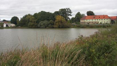 Bild: wro
Der große Weiher prägt das kleine Dorf Kornthan bei Wiesau.