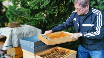 Bild: Portner
Fit für den Winter: Imker Michael Völkl deckt die Bienenkästen im Garten mit Blechhaube oder Plane ab und hängt einen Futtertrog mit Fertigsirup ein.
