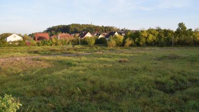Bild: bnr
Das "Sondergebiet Sportpark, Teilbereich Südspitze" steht ausschließlich Vereinen zur Nutzung zur Verfügung. Jetzt will hier die Wasserwacht eine Lagerhalle errichten.