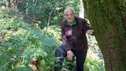 Bild: Johannes Bradtka/exb
Johannes Bradtka hat Teile der Flechte an 31 Laubbäumen im Steinwald und im Fichtelgebirge angebracht. Fachleute sprechen hier von einer Transplantation.