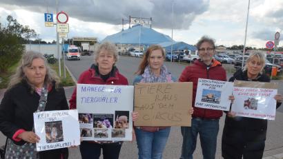 Bild: Kunz
Die Katzenhilfe Kaltenbrunn demonstriert gegen die Wildtierhaltung im Circus Krone.