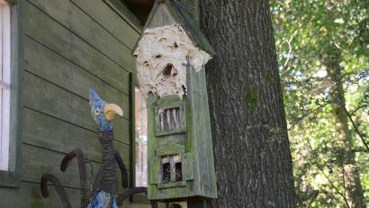 Bild: ak
Eine Hornissenkönigin hat mit ihrem friedlichen Schwarm ein dreistöckiges Vogelhäuschen erobert und für ihre Zwecke aus- und umgebaut.