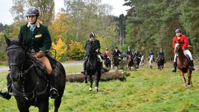 Bild: Petra Hartl
Die Kurfürstliche Schleppjagd in Amberg ist ein Ereignis für Ross und Reiter sowie Zuschauer.