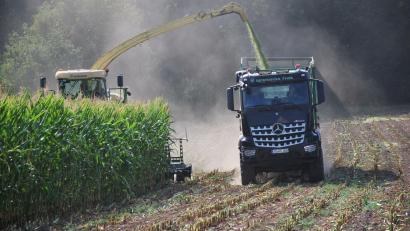 Symbolbild: gsp
Feldhäcksler und Traktoren mit großen Anhängern waren in den letzten Wochen im ganzen Landkreis unterwegs – denn der Silomais wurde geerntet.