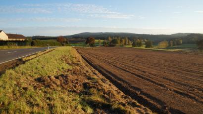 Bild: wel
Das geplante Areal für das Nahwärmenetz befindet sich aus Richtung Gaisthal kommend vor dem Ortseingang Schönsee auf der linken Seite gegenüber der Biogasanlage