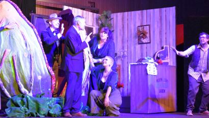 Bild: rgr
Der kleine Horrorladen, gespielt vom OVIGO-Theater in der Grafenwöhrer Stadthalle
