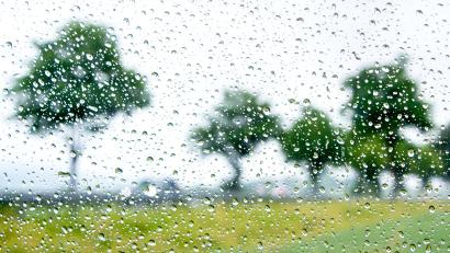 Symbolbild: Hauke-Christian Dittrich
Der Herbst ist da und bringt vor allem Regen.