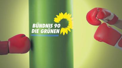 Bild: Laura Fröhler
Grüne Prügelknaben. Die Partei hat zuletzt sehr polarisiert.