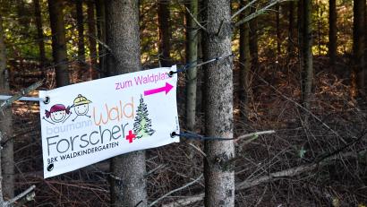 Bild: Petra Hartl
Um ihn geht es: Den Amberger Waldkindergarten namens Waldforscher wollen auch Geschwisterkinder besuchen. Doch das ist gar nicht so einfach. Eine Mutter aus Schmidgaden will nun notfalls juristisch dafür sorgen, eine ihrer Töchter hier unterzubringen.