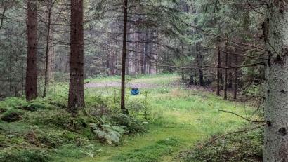 Bild: Susanne Forster
Unter der blauen Verkleidung verbirgt sich eines von insgesamt drei Versuchsbohrlöchern im Naaber Wald. Die Stadt Bärnau überlegt, ein oder mehrere Bohrlöcher zu Trinkwasserbrunnen auszubauen.