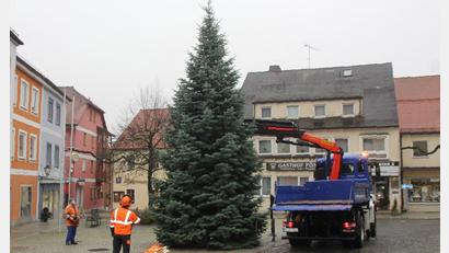 Archivbild: frd
Der Weg des Christbaums auf den Marktplatz Oberviechtach ist kurz. Meistens stammt die Tanne aus einem Privatgarten.