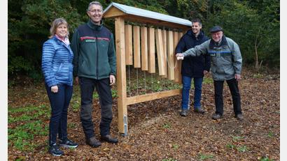 Bild: wel
Forstdirektor Alwin Kleber und Bürgermeister Rudolf Teplitzky (von rechts) schlagen das neue Klangspiel. Auch Revierförster Markus Lobinger und Sigrid Breitschafter begrüßen die Erweiterung des Waldumbau-Pavillons mit kindgerechten Spielgeräten