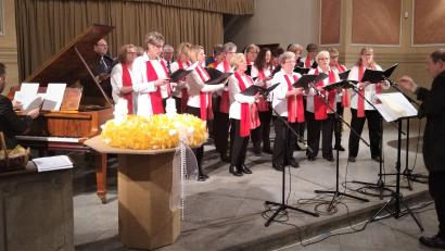 Archivbild: Rudi Hirsch/exb
Beim Benefizkonzert „Herbstzauber“ singen Chöre aus Schwandorf und Sokolov am 27. Oktober 2023 um 19.30 Uhr im Marienmünster Kreuzberg. Der Eintritt ist frei, Spenden für das Bruder-Gerhard Hospiz der Johanniter sind willkommen. Im Bild der Schwandorfer Sängerbund.