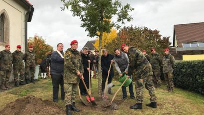 Bild: Stadt Windischeschenbach/exb
Eine stattliche Eiche der Patenschaftsbaum. Gärtnermeister Felix Punzmann (vorne, Zweiter von rechts) überwacht die Pflanzung und weiß, dass Gießen auf keinen Fall schadet.