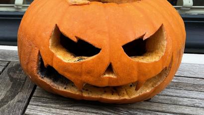 Symbolbild: Heike Unger
Eine Halloween-Party unter einer Autobahnbrücke wurde am Mittwochmorgen ein Fall für die Amberger Polizei.