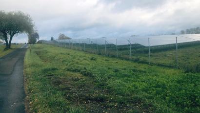 Bild: wro
Der geplante neue Solarpark liegt zwischen der Straße zum Waldbadeweiher (westlich der Anlagen) und der TIR 18 (östlich der Anlagen) am südlichen Ortsrand von Fuchsmühl nahe der Freizeitanlage Waldbadeweiher.