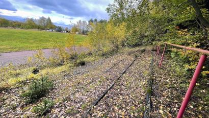 Bild: Matthias Bäumler/fph
Die Hoffnung lebt: Vielleicht baut ein Unternehmen im ehemaligen Wacker-Stadion doch noch eine Senioreneinrichtung.