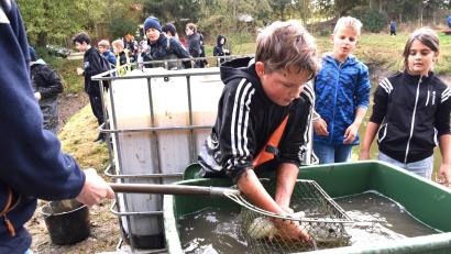 Bild: ubb
Beim Abfischen der Schulweiher sind viele Schüler in ihrem Element. Hier zappelt ein Hecht im Netz.