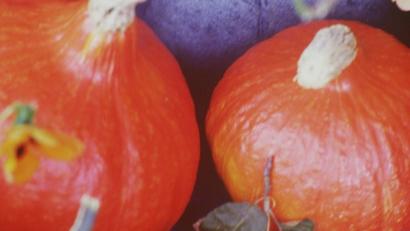 Bild: Delikatessen Manufaktur Bergler-Fischer
Das Rosenaroma ist das Besondere an der Kürbissuppe von Petra Bergler-Fischer.