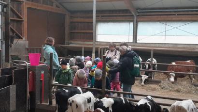 Bild: exb
Michaela Weigl zeigt den Kindern den Kälberstall.