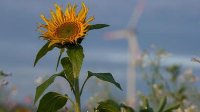 Symbolbild: Stefan Puchner/dpa
Die Regionalplanung in Bayern wird 50 Jahre alt. Aus diesem Anlass fordern zahlreiche Verbände, deren Ziele zum Erhalt der Schönheit des Landes konkreter zu fassen. Es geht auch um den Klimaschutz.