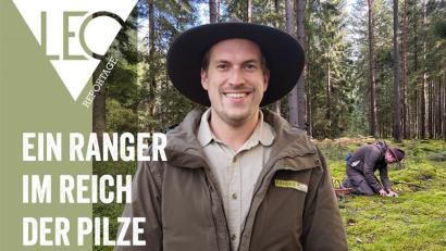 Bild: Lea-Mareen Kuhnle / Grafik: Redaktion Magazine
Stefan Niclas ist Pilz-Experte und Ranger im Landkreis Neustadt a.d. Waldnaab.