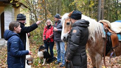 Bild: kki
Pfarrer Thoms Stohldreier segnet das Pferd von Sabine Gruber, die mit ihrem Team den Sternritt organisiert hatte.