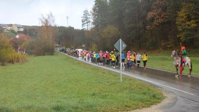 Bild: aun
Über die Staatsstraße 2240 marschiert der Faschingszug in Utzenhofen ein.