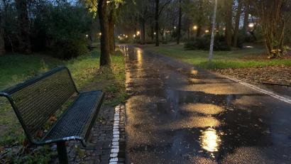 Bild: Gabi Schönberger
Hier, im Weidener Max-Reger-Park, soll vor einer Woche eine Frau nachts vergewaltigt worden sein. Belege für die zuerst in den sozialen Medien gestreuten Gerüchte liegen Oberpfalz-Medien nicht vor.