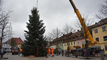 Bild: lue
Eine 14 Meter hohe Nordmanntanne ziert heuer als Christbaum in der Adventszeit den Tirschenreuther Marktplatz.