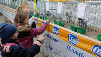 Bild: do
Bei vielen Liebhabern des gackernden und gurrenden Federviehs stößt die Lokalschau des Eschenbacher Kleintierzuchtvereins in der Ausstellungshalle auf großes Interesse. Auch der Nachwuchs ist begeistert.