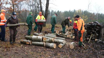 Bild: Hirsch
Schüler der Neunburger Forstschule und der Barmherzigen Brüder Reichenbach schichten auf dem stillgelegten Truppenübungsplatz bei Bodenwöhr Holzstöße als Zufluchtsorte für Insekten und Eidechsen auf und pflanzten Bäume und Sträucher.