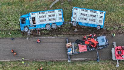 Bild: Jason Tschepljakow/dpa
Ein Tiertransporter liegt nach einem Unfall auf der Verbindungsstraße zwischen Frankenhofen und Irsingen neben der Fahrbahn