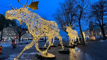 Bild: Verena Wolff/dpa
Beleuchtete Elchfiguren im zentral gelegenen Berzelii-Park: Während der Winterzeit wird in Stockholm illuminiert, was das Zeug hält.