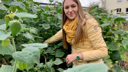 Bild: Gabi Schönberger
Gerade werden die Physalis erntereif. Lehrerin Lisa Lang muss nur ein wenig zwischen den Blättern suchen, um die zu finden, die schon orange und essbar sind.