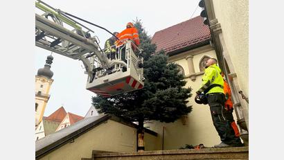 Bild: Gabi Schönberger
Mitarbeiter der Feuerwehr und des Bauhofs stellen den Christbaum vor dem Alten Rathaus auf.