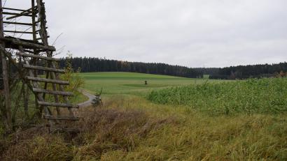 Bild: bnr
Zwischen den Ortschaften Losau und Schiltern soll auf einer Fläche von 31 Hektar der "Solarpark Losau" entstehen.