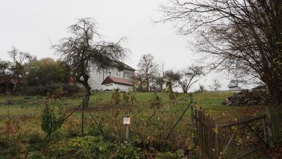 Bild: lum
Von der Nachverdichtung der Innenstadt wären die Badgaßgärten betroffen. Mit dem Bebauungsplan beschäftigte sich nun der Stadtrat in der Novembersitzung. Der aktualisierte Entwurf wird erneut ausgelegt.